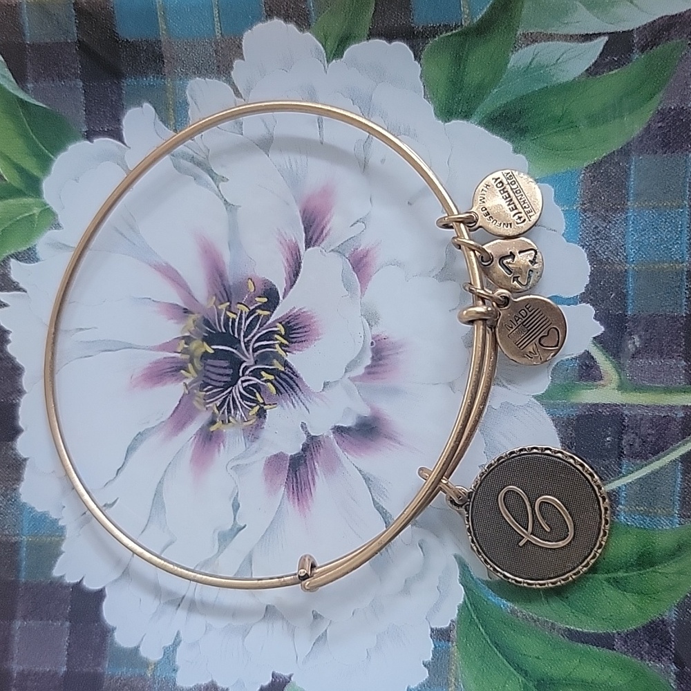Alex and Ani bracelet